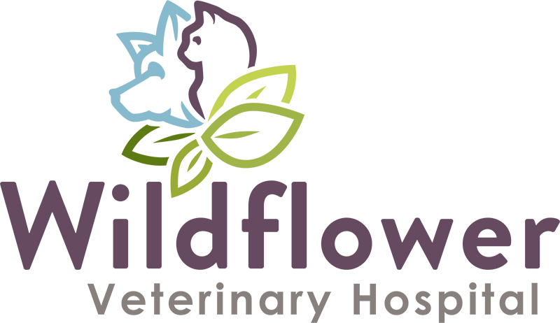 Wildflower Veterinary Hospital