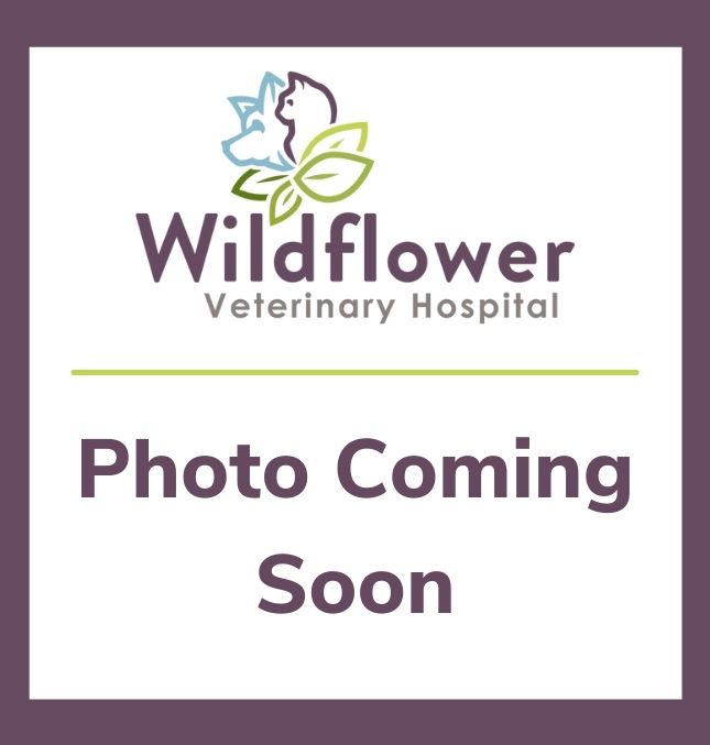 Photo Coming Soon (1)